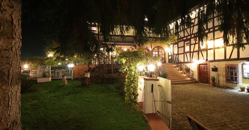 Hotel Restaurant Paradeismuehle Klingenberg am Main Extérieur photo